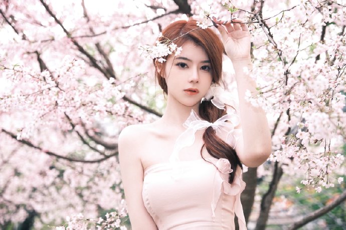 罗马假日 封面